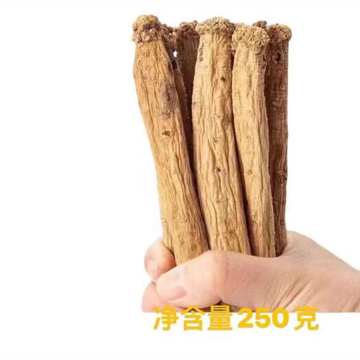 岷县白条党参