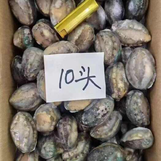 成都鲍鱼