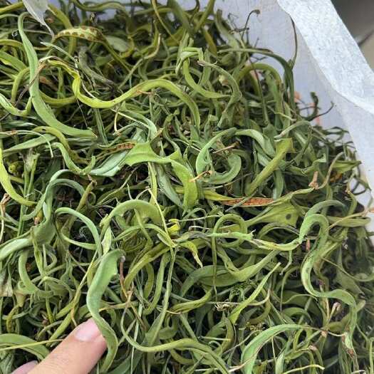 会理市化石草，肾精茶