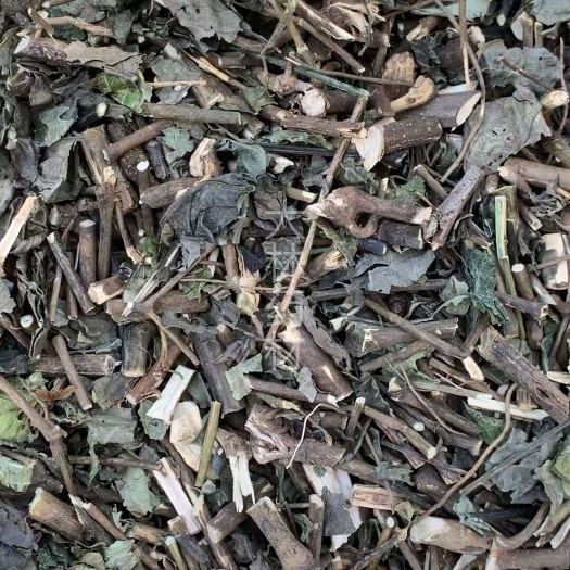 长期供应｛大青叶｝可批量可零售量大从优【包邮】
