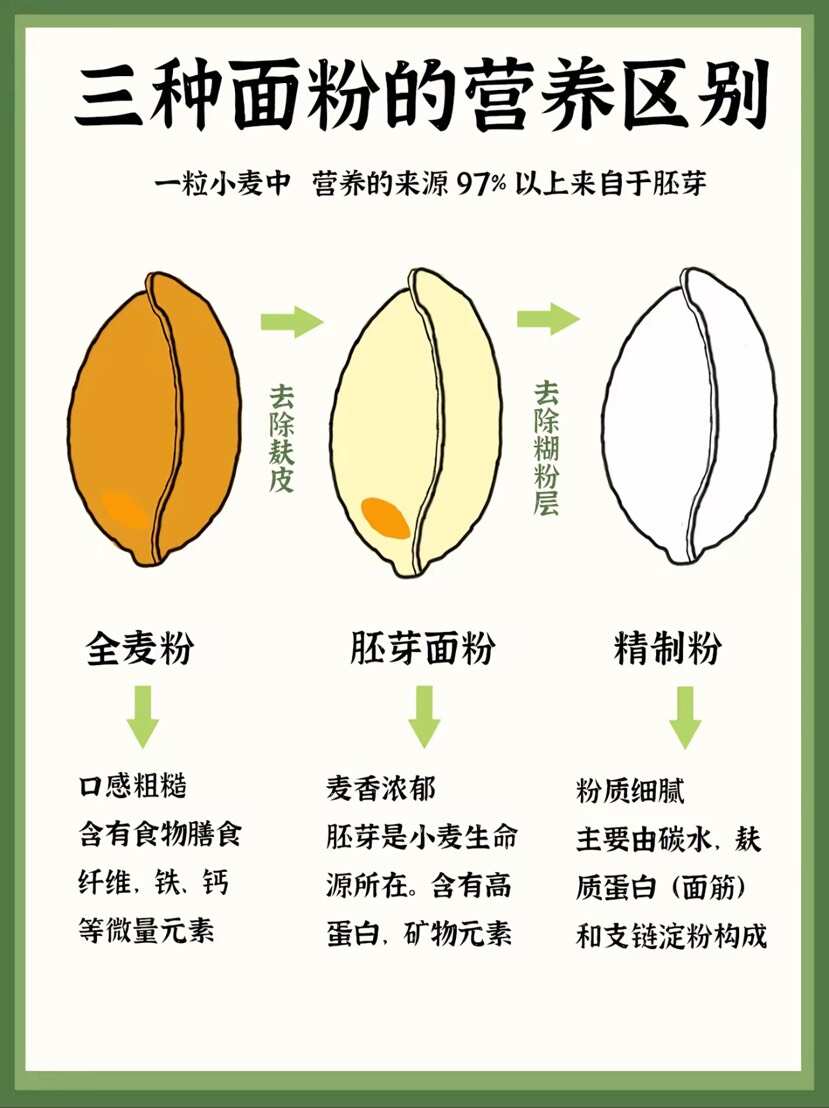 鲜活胚芽面粉一件代发，可供私域爆款，5装源头工厂，可批发