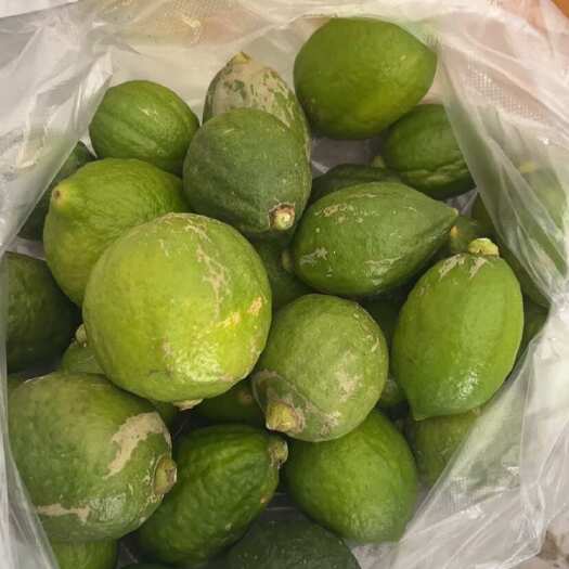 梧州广东香水柠檬无籽厚皮二级果