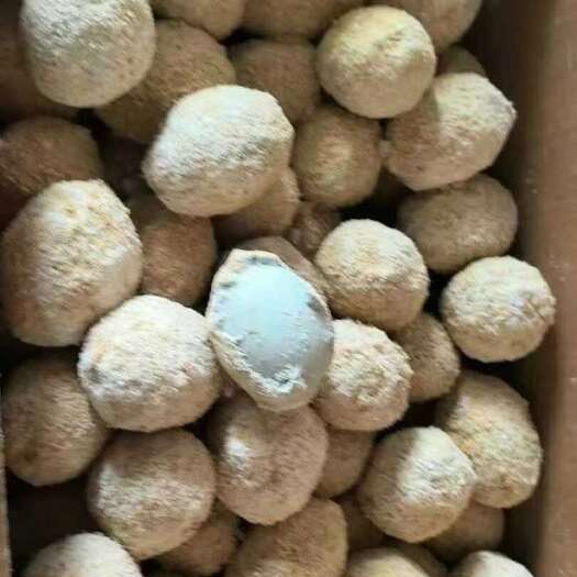 成都鸭皮蛋松花皮蛋批发糖心皮蛋手工变蛋商用厂家直发