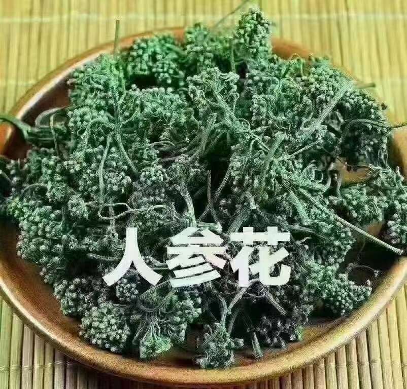 人参花，人参的花蕾，营养成分不减量！长白山人参花茶饮