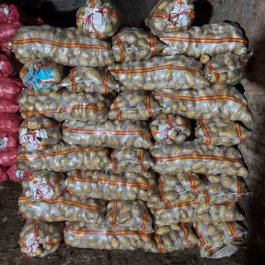 沽源县张家口沽源县产新鲜土豆 单颗3两以上品质蔬菜 翻地精选