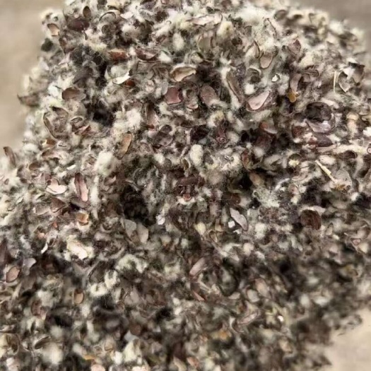 阿克苏市阿克苏优质棉籽壳，中绒中壳，水粉小，杂质少，质优价优