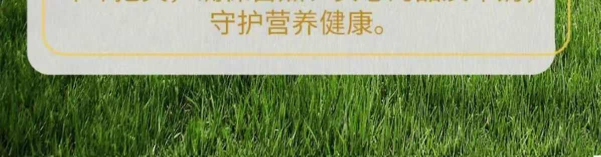 8斤纯牛奶青藏牧场青海牛奶纯牛奶学生儿童成人牛奶纯生牛乳