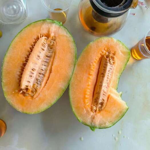 乐东县海南哈密瓜