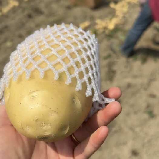 希森黄皮黄心土豆，袋装，箱装。出口，电商，超市，市场，工厂