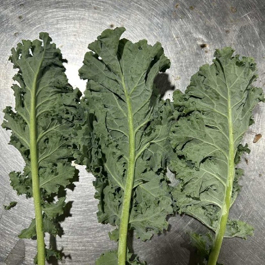深圳羽衣甘蓝，羽衣甘蓝汁水。