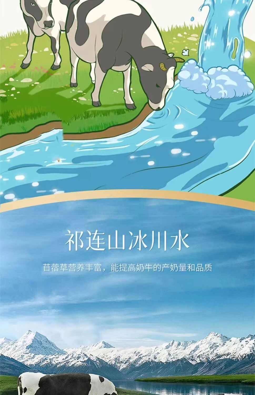 8斤纯牛奶青藏牧场青海牛奶纯牛奶学生儿童成人牛奶纯生牛乳