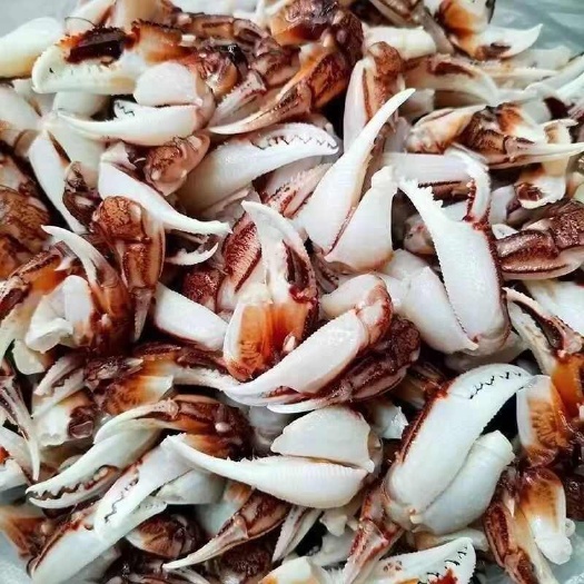 连云港蟹钳蟹脚新鲜冷冻蟹腿醉蟹沙蟹钳原料生腌捞汁麻辣蟹钳商用批发