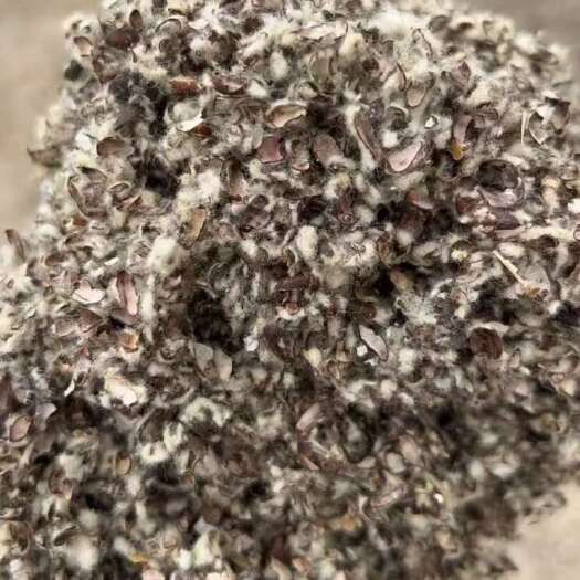 阿克苏市阿克苏棉壳可以说所有地方棉壳种蘑菇 喂牛羊