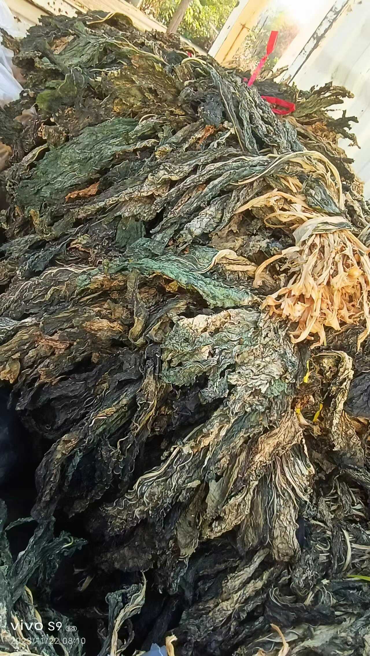 攸县2025湖南农家干菜芥菜干白菜干通货批发