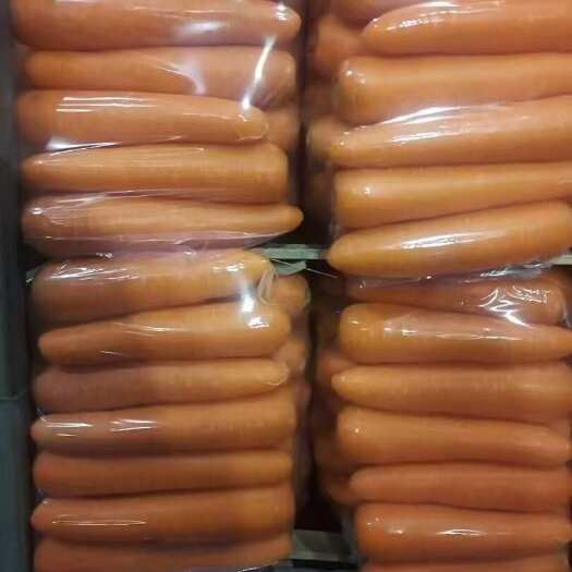 寿光市寿光精品胡萝卜中条  小条  土货  大量有货 欢迎采购