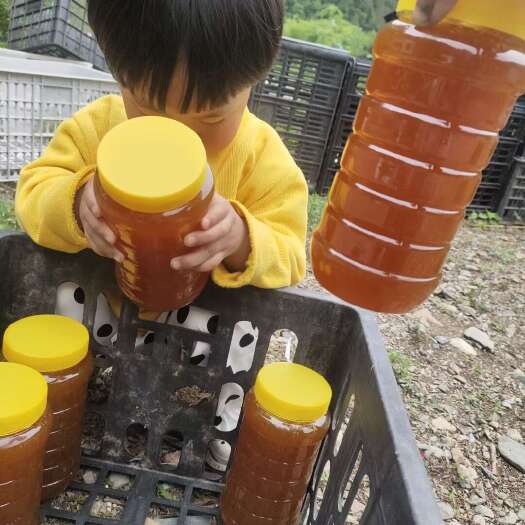 两当县自己家产的土蜂蜜支持一件代发
