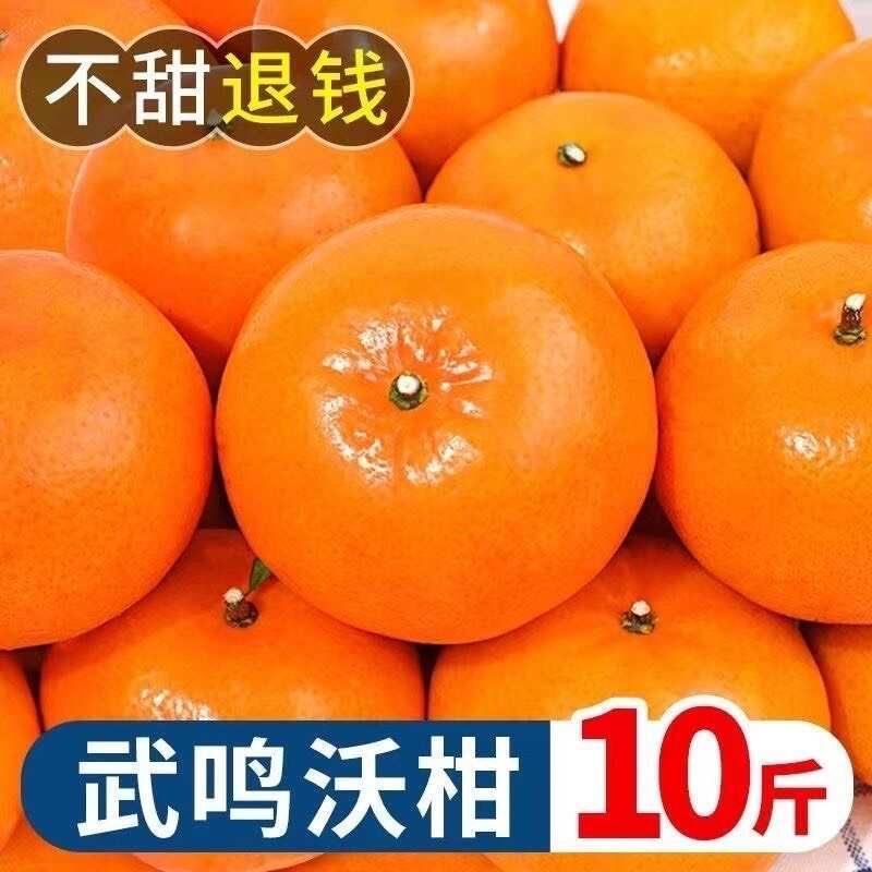 橘子