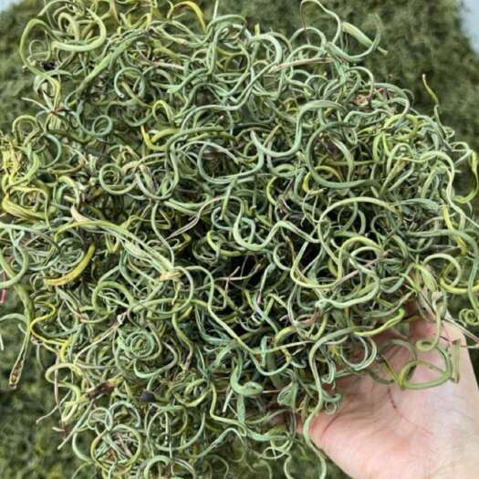 昆明云南中药材丽江精选化石草