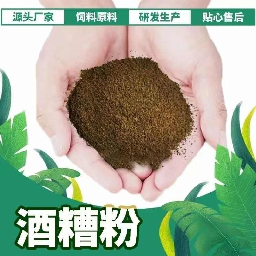 盱眙县厂家直供洋河干白酒糟粉-蛋白高无毒素