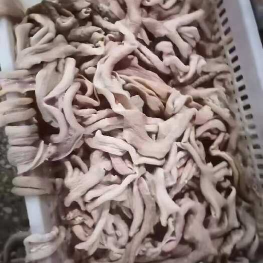 阳信县精修去油牛小肠