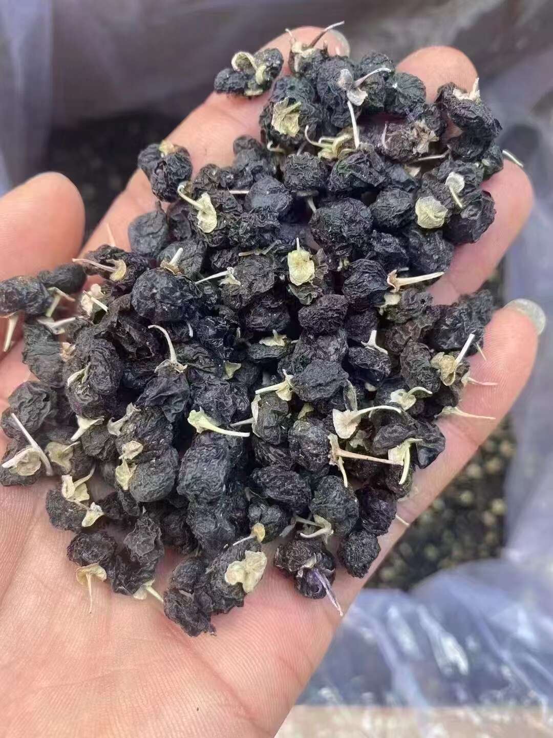 黑枸杞  黑果枸杞 黑枸杞大中小