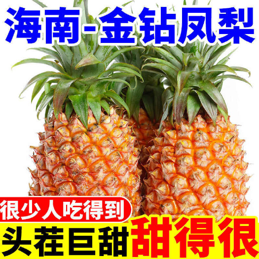 【海南金钻凤梨17号】当季现摘非手撕凤梨非菠萝甜蜜好吃香