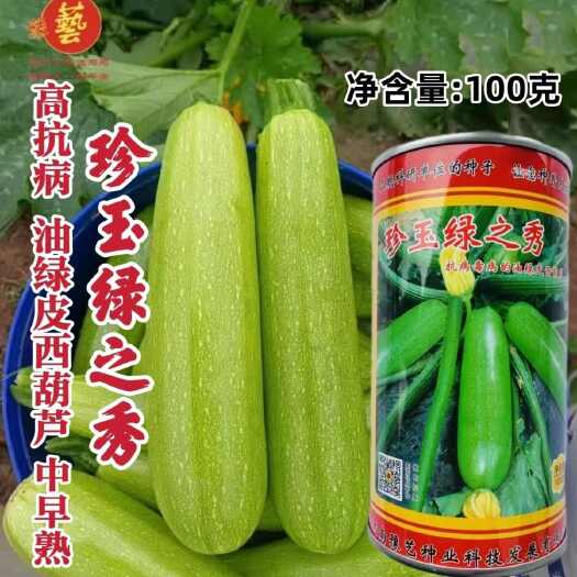 沭阳县豫艺珍玉绿之秀西葫芦种子抗病毒油绿皮西葫芦种子占瓜种子蔬菜种