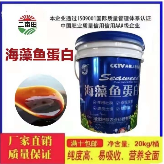 邯郸海藻鱼蛋白