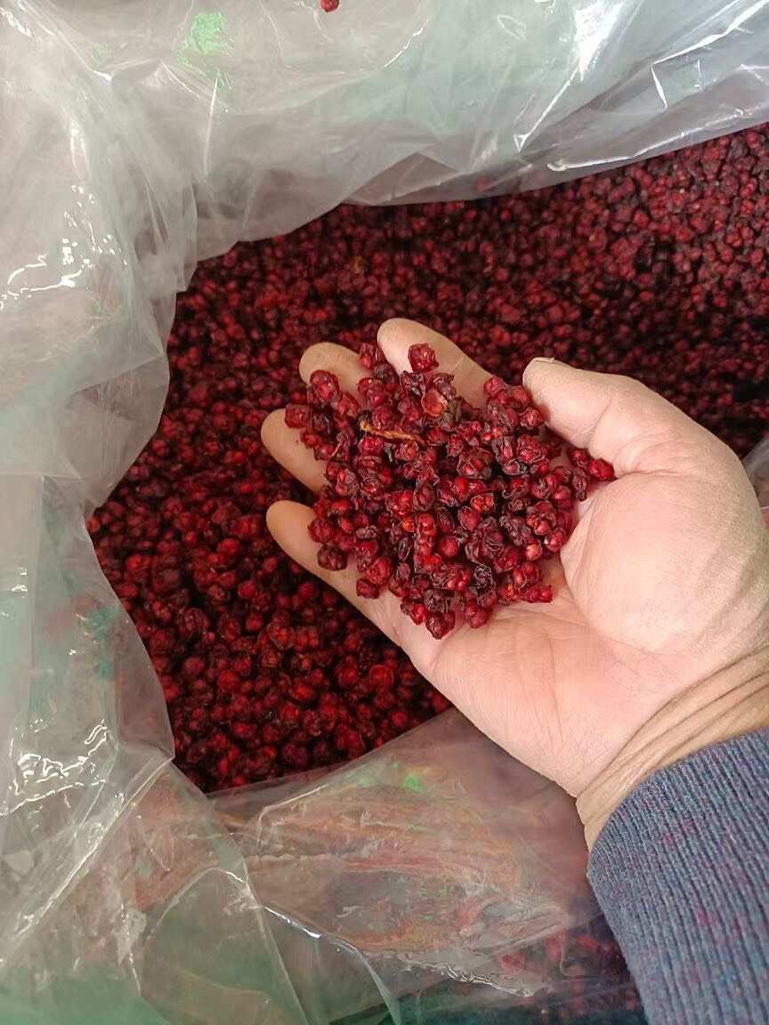 北五味子 长白山发货色选精品货 可以代发 大量拿货可谈