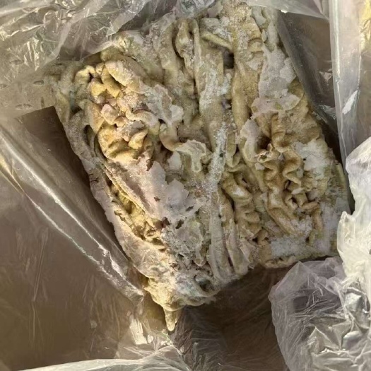 临沂预煮大肠