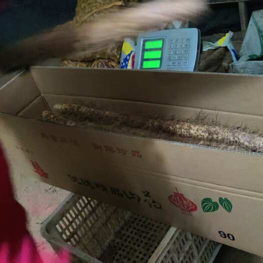 新绛县山西运城麻山药，货量充足，欢迎大家前来骚扰