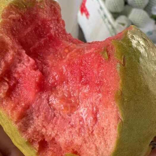 漳州红心芭乐精品礼盒装 珍珠番石榴