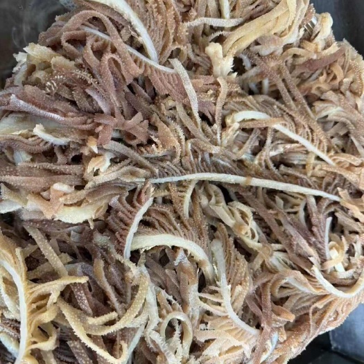 成都火锅食材：毛肚、白千层、黑千层、整毛肚、鸭肠、黄喉碎毛肚等等