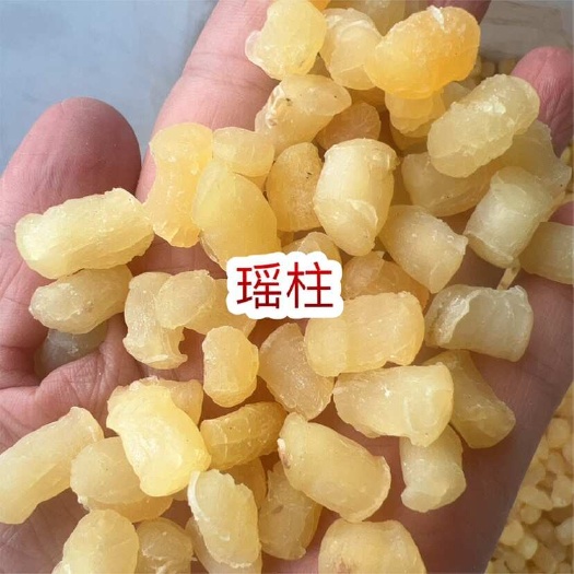 瑶柱 地摊电商批发瑶柱干干瑶柱扇贝干干贝