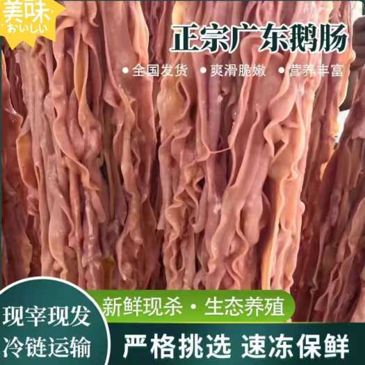佛山新鲜现杀生鹅肠脆嫩小串冒菜家庭火锅食材菜品配菜生鲜冷冻