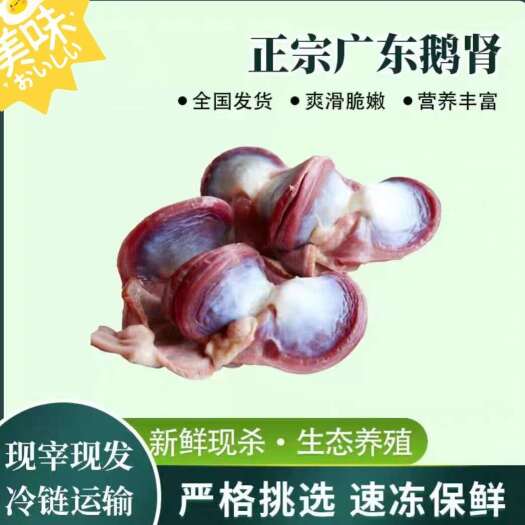 佛山广东新鲜当天杀顶鹅胗大鹅肾鹅胗鹅肫现杀卤味食材内脏非冷冻
