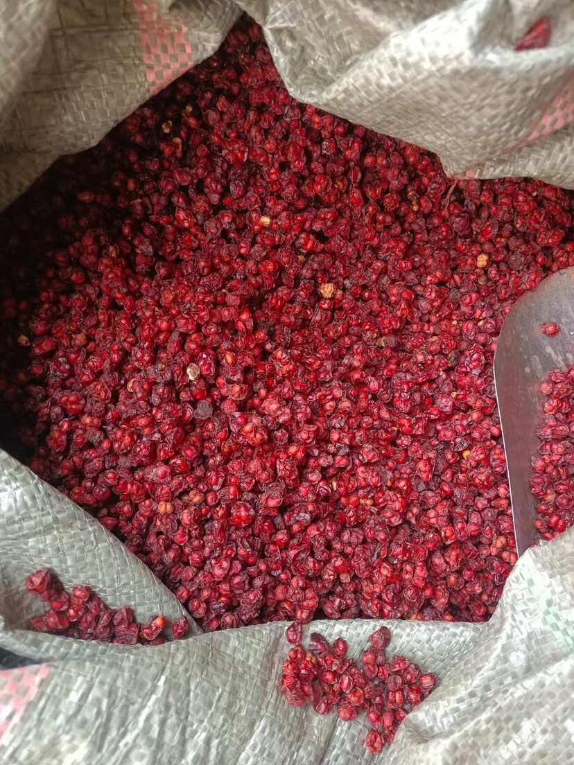 北五味子 长白山发货色选精品货 可以代发 大量拿货可谈