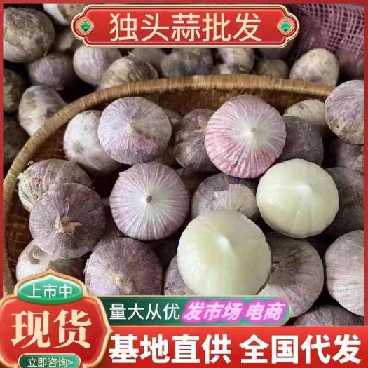 大理市独头蒜