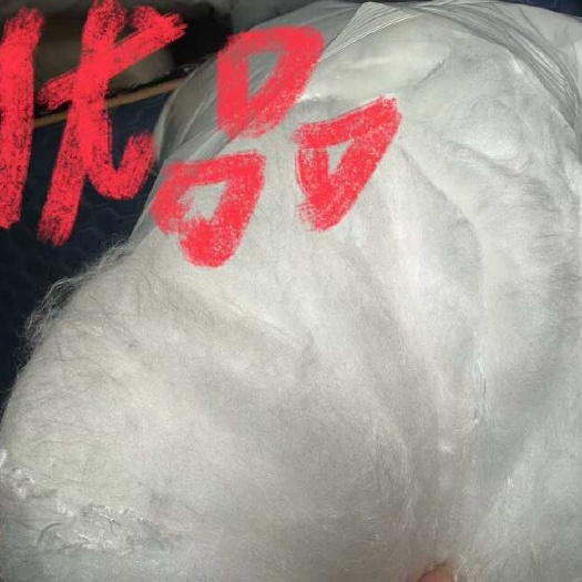 桐乡市优品桑蚕丝 蛹衬 价格实惠 136/斤