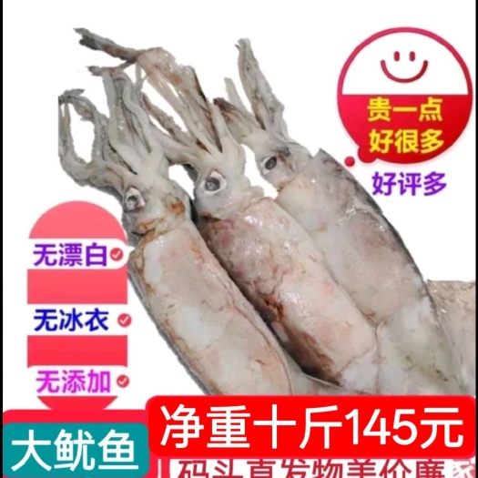 连云港鱿鱼鱿鱼无冰大鱿鱼净重十斤145包邮大鱿鱼海鲜新鲜鲜活鲜尤鱼