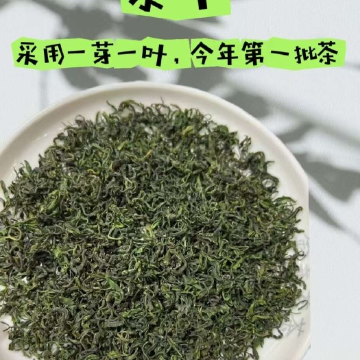 三江县三江绿茶春茶，口感清香，回甘明显，100克装。