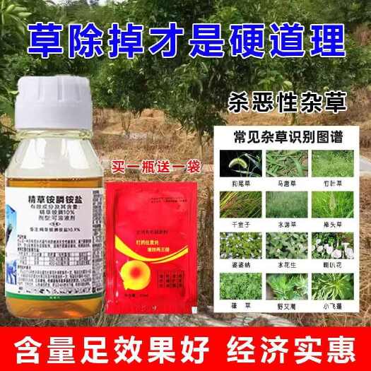 郑州精草铵膦铵盐除草剂连根烂果园非耕地除草剂牛筋草小飞蓬