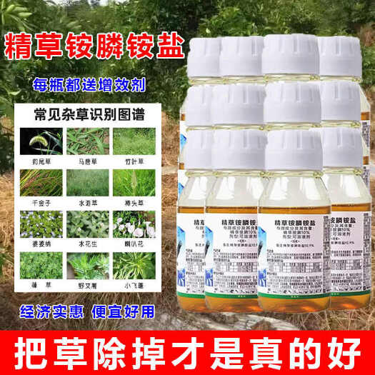 郑州精草铵膦铵盐除草剂牛筋草小飞蓬果园荒地非耕地除草剂农用