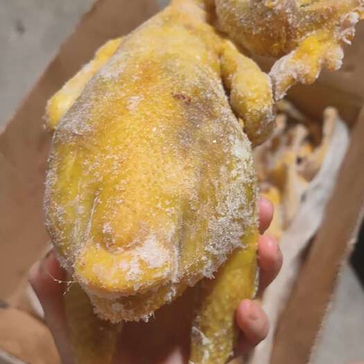 成都盐焗鸡