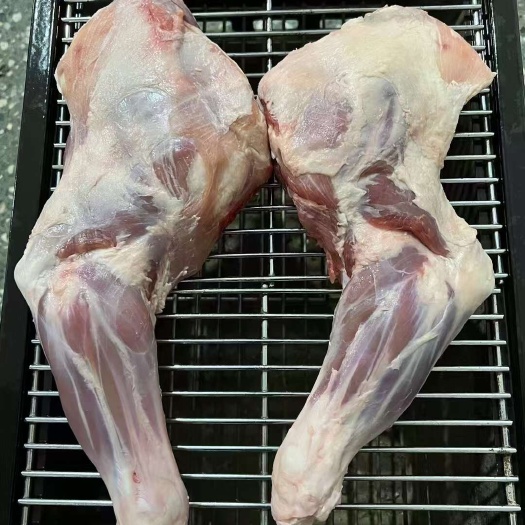 东营烧烤系列 烧烤羔羊大前腿 羊腿 新鲜羊腿批发 各种规格齐全