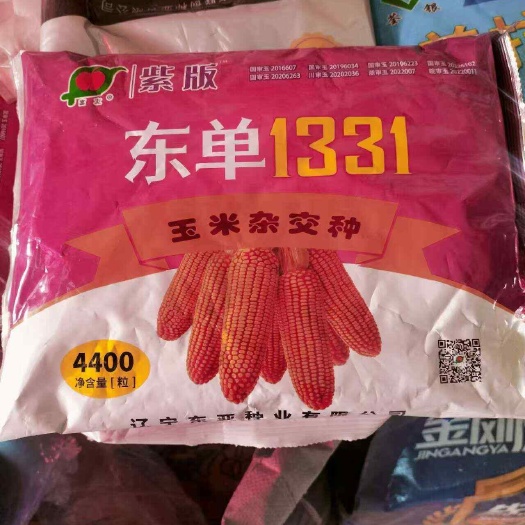 喀喇沁旗东单1331玉米种子   ，4大区国审品东单1331
