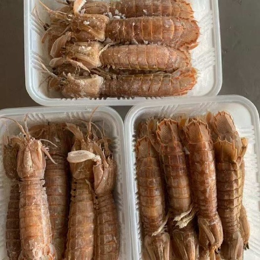 连云港大公皮皮虾 一盒净重一斤