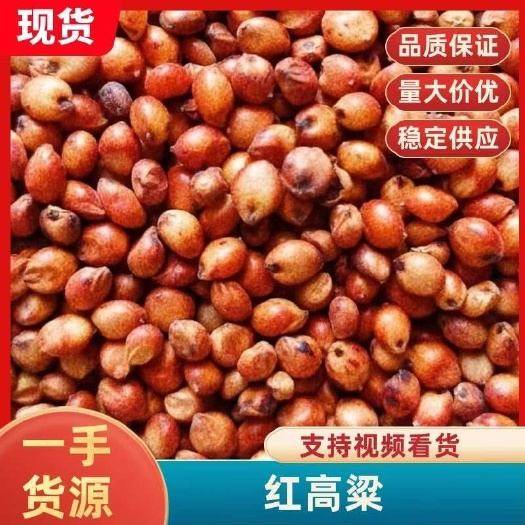 高粱 红高粱 酿酒原料 出酒率高 酒厂用料磨面鸽粮