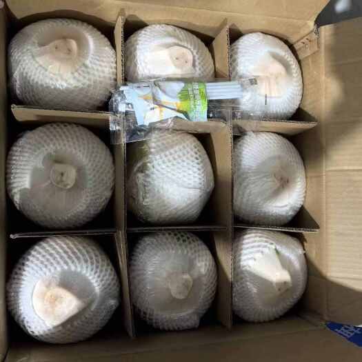 琼海市文昌椰子去皮9个装。产地发货。椰子/啥货都有一手货源。