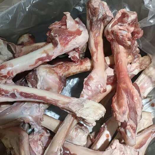 郓城县羊拐骨 长期有货